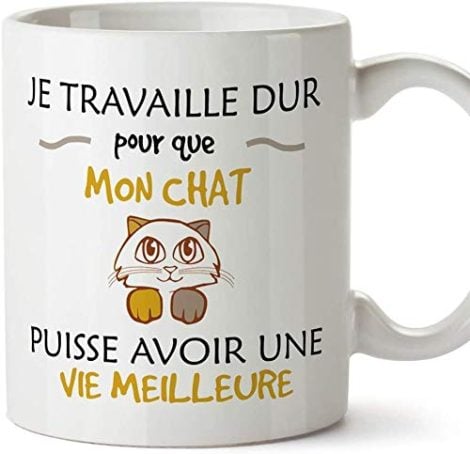 Tasses de petit-déjeuner rigolotes “Chat-copains” – Faire rire et soutenir nos amis félins – Cadeaux amusants.