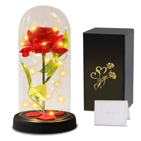 Rose Éternelle Éclairée sous Cloche avec LED, Fleur Artificielle en Cadeau pour Femme, Maman, Mère, Grand-mère. Idée Cadeau pour Anniversaire, Mariage, Noël.