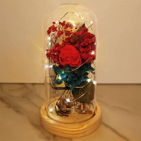 Rose infinie sous cloche pour la Saint-Valentin, c’est un cadeau parfait pour toutes les occasions spéciales.