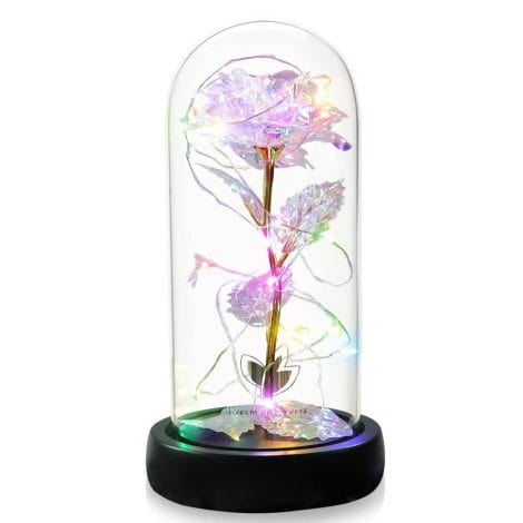 Roses éternelles : Dôme en Verre Élégant avec Lumières LED, sur base en pin, cadeau pour toutes occasions.