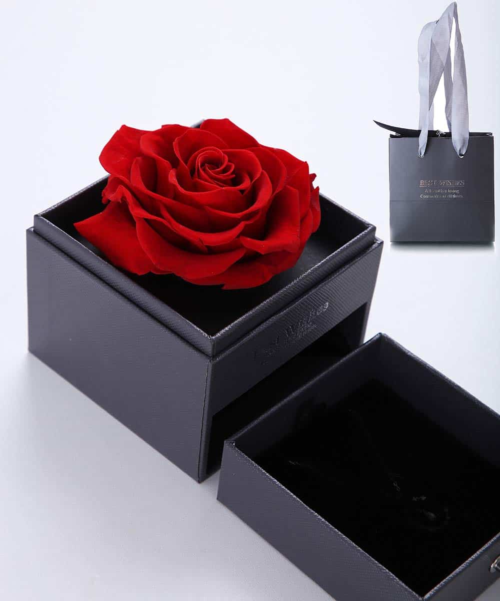 huaao Rose Eternelle Beauty and The Beast Rose Gift Bijoux Faits à la Main Eternal Rose Real Forever Rose pour la Saint Valentin Fête des mères Anniversaire de Mariage Cadeaux romantiques pour Elle