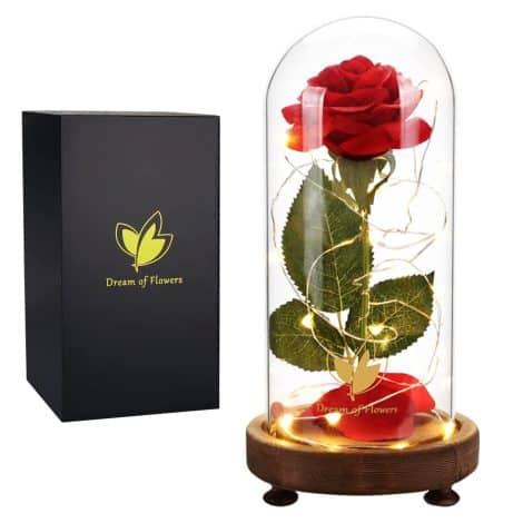 Bouquet de Roses pour la Fête des Mères, rose éternelle avec dôme en verre et lumière LED, cadeau unique pour femmes.