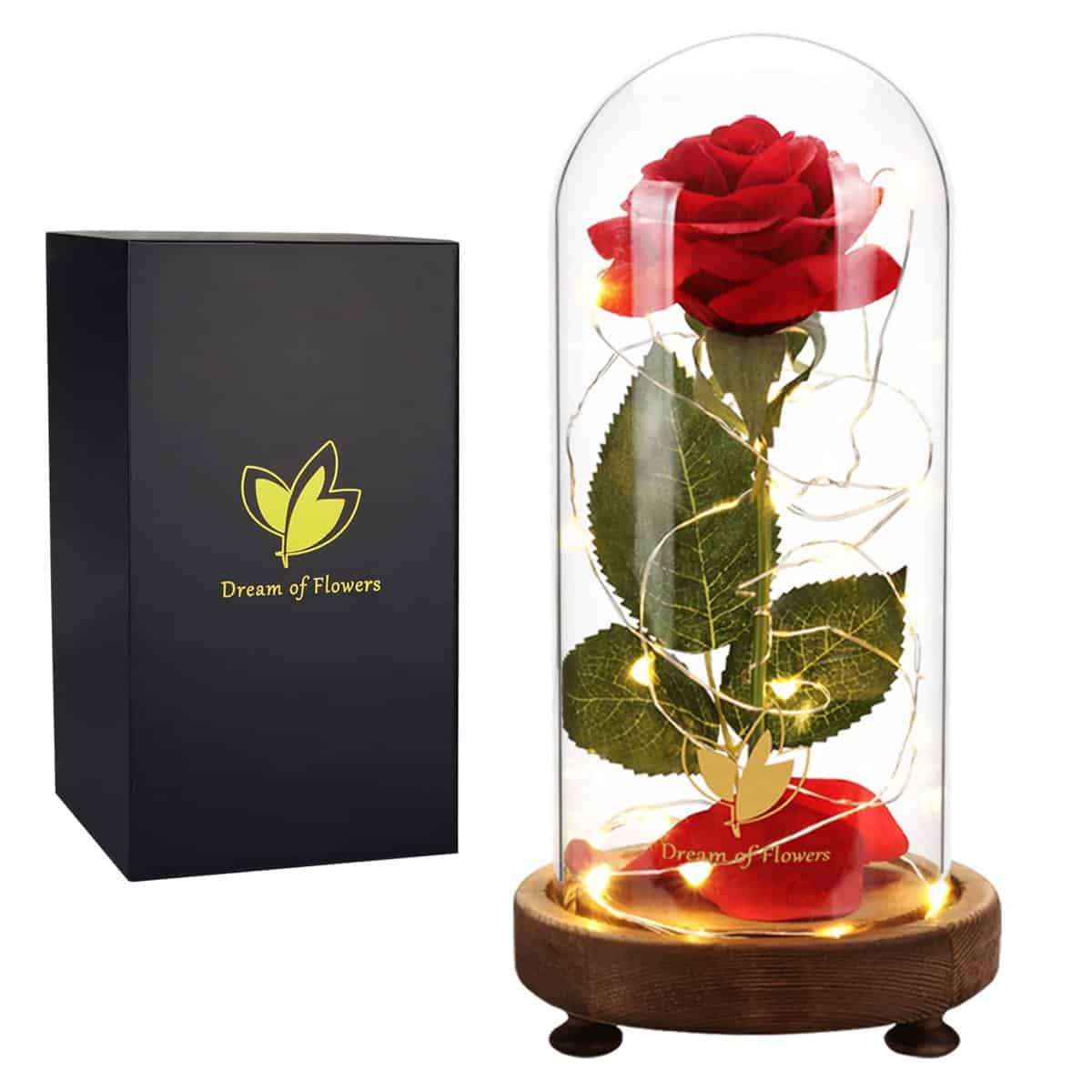 Cadeau de Roses pour la Fête des Mères, la belle et la bête rose, dôme en verre rose éternelle avec lumière LED, cadeau unique pour petite amie épouse maman, Cadeaux de Noël pour les femmes