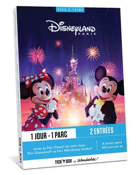 Coffret Cadeau Journée en Duo au Parc Disneyland Paris comprenant 2 billets adultes.