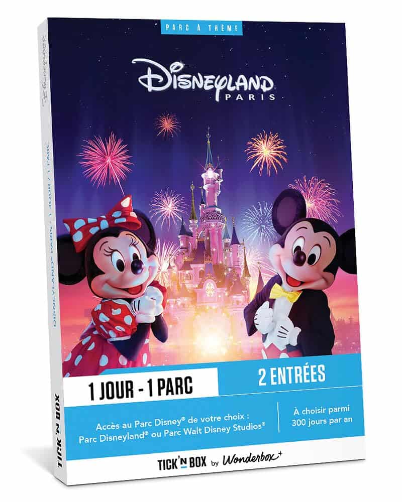 Tick&Box - Coffret Cadeau journée en Duo Parc Disneyland Paris - 2 entrées Adulte