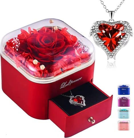 Rose Immortelle avec Collier, Rose Préservée Cadeau Femme, Fleur dans Boîte à Bijoux, Roses Conservées, Idéal Anniversaire, Saint Valentin, Noël, Fête des Mères pour Maman et Grand-Mère.