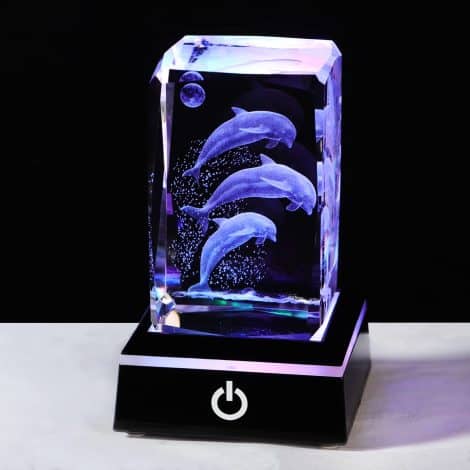 Statue en cristal gravée 3D de Dauphins – Cadeau anniversaire pour passionnés des Dauphins – Décoration maison LED.