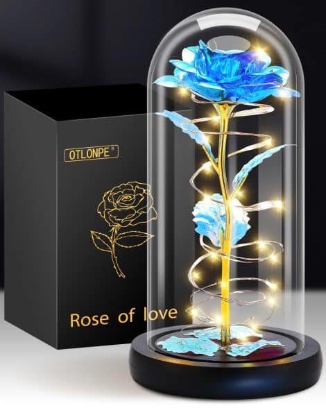 Rose éternelle sous cloche, cadeau pour la fête des mères, inspiré de “La Belle et la Bête”, avec lumières LED.