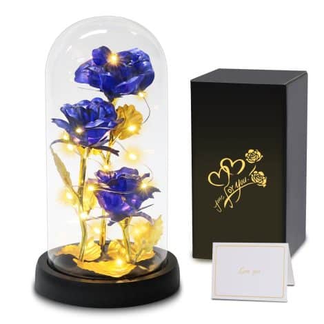 Rose Éternelle en Verre Sous Cloche, Fleur Artificielle Éternelle avec Lumières LED, Cadeau pour Femmes, Idée pour Événements Spéciaux.