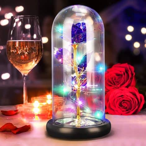 Rose éternelle en cloche, cadeau féminin, rose enchantée, rose en dôme de verre avec lumières LED, parfait pour anniversaire, jeunes mariés.