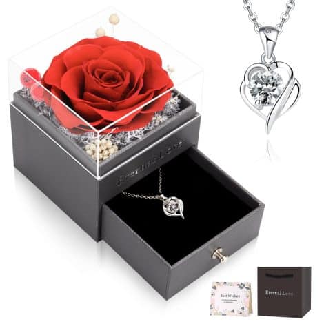 Rose Éternelle avec Chaîne Argentée, Bijou Fait Main Préservé, Coffret Cadeau Parfait pour Noël.