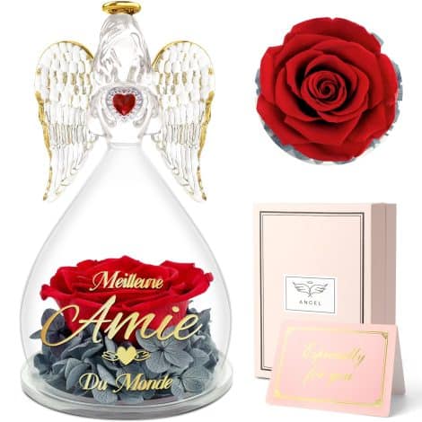 Sunia Cadeau pour une amie : une rose éternelle avec l’inscription “Meilleure Amie du Monde”, accompagnée d’une figurine d’ange. Idée cadeau pour son anniversaire ou Noël.