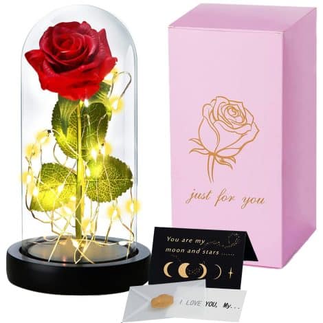 Rose éternelle sous cloche, la Belle et la Bête, faux rose avec carte de vœux et abat-jour en verre LED. Cadeau de vacances pour femme.