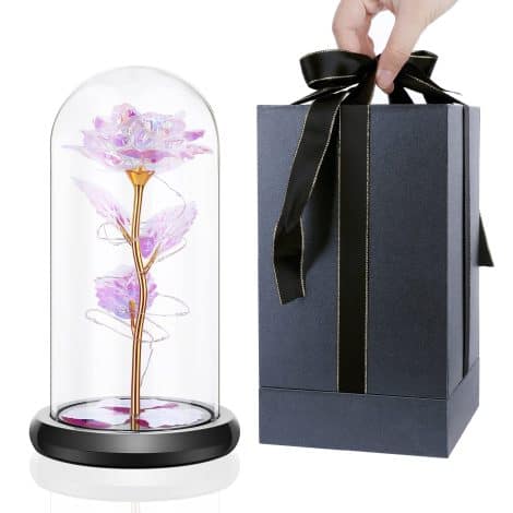 Rose infinie, Rose infinie sous vitrine, vitrine en verre, fleur infinie avec éclairage LED, Jour de la Mère, Saint-Valentin, Noël, cadeau pour maman – La Belle et la Bête Rose infinie.