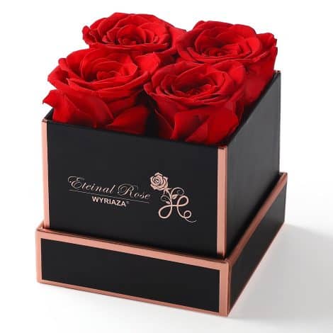Rose éternelle rouge dans une boîte cadeau pour les anniversaires, mariages et fêtes. Pour femme, maman, copine, mère, Noël, Saint-Valentin et fête des mères.