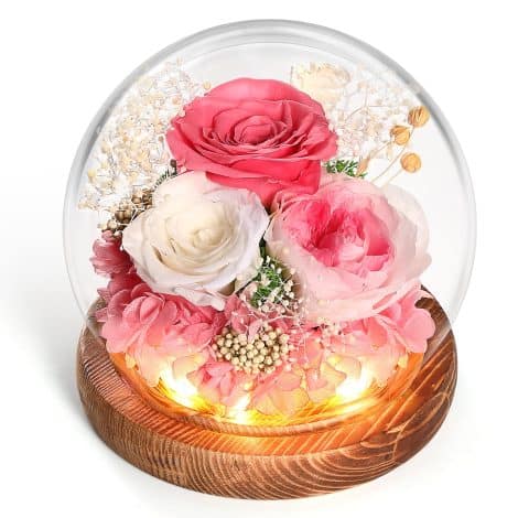 Rose Éternelle dans un coffret cadeau pour femme, maman, mamie, copine, grand-mère, idéal pour Noël, la Saint-Valentin, la fête des mères, anniversaire, mariage. Avec LED, naturelle et romantique.